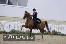 25R13_05355 thumbnail