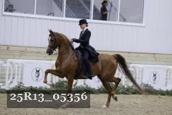 25R13_05356 thumbnail