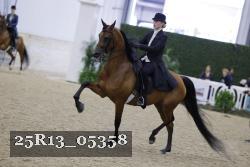 25R13_05358 thumbnail