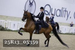25R13_05359 thumbnail