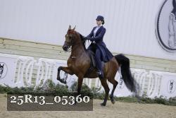 25R13_05360 thumbnail