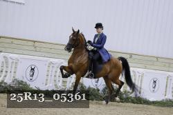 25R13_05361 thumbnail