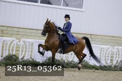 25R13_05362 thumbnail