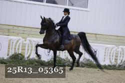 25R13_05365 thumbnail