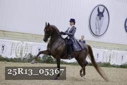 25R13_05367 thumbnail