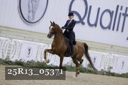 25R13_05371 thumbnail