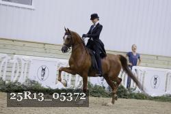 25R13_05372 thumbnail