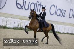 25R13_05373 thumbnail