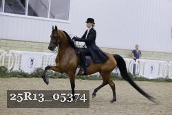 25R13_05374 thumbnail