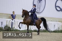25R13_05375 thumbnail