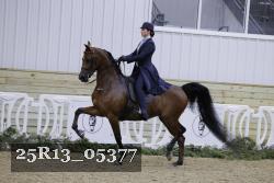 25R13_05377 thumbnail