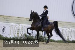 25R13_05378 thumbnail