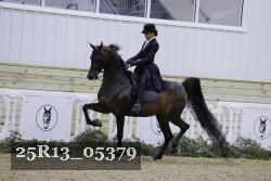 25R13_05379 thumbnail
