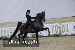 25R13_05381 thumbnail