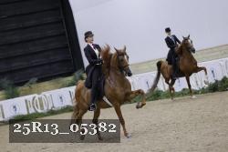 25R13_05382 thumbnail