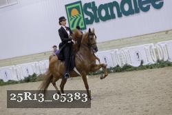 25R13_05383 thumbnail