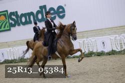 25R13_05384 thumbnail