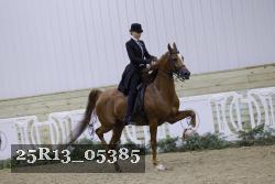 25R13_05385 thumbnail
