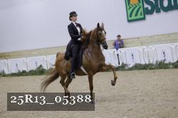 25R13_05388 thumbnail