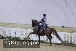 25R13_05406 thumbnail