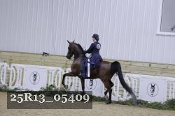 25R13_05409 thumbnail