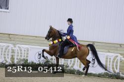 25R13_05412 thumbnail