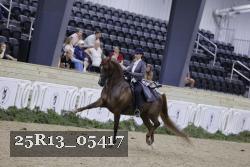 25R13_05417 thumbnail