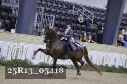 25R13_05418 thumbnail