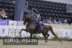 25R13_05420 thumbnail
