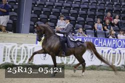 25R13_05421 thumbnail