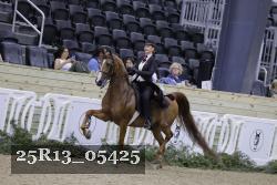 25R13_05425 thumbnail
