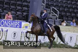 25R13_05429 thumbnail
