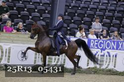25R13_05431 thumbnail