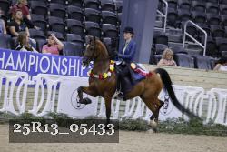 25R13_05433 thumbnail