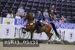 25R13_05434 thumbnail
