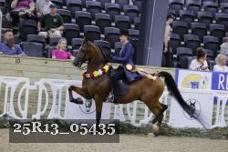 25R13_05435 thumbnail