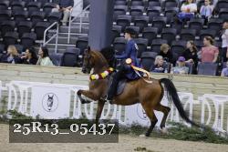 25R13_05437 thumbnail