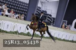 25R13_05438 thumbnail