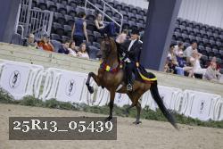 25R13_05439 thumbnail