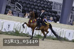 25R13_05440 thumbnail