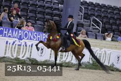 25R13_05441 thumbnail