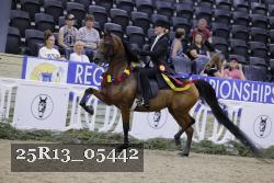 25R13_05442 thumbnail