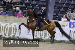 25R13_05443 thumbnail