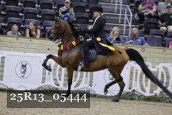 25R13_05444 thumbnail