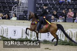 25R13_05445 thumbnail