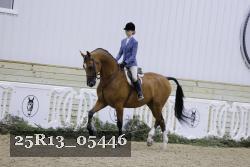 25R13_05446 thumbnail