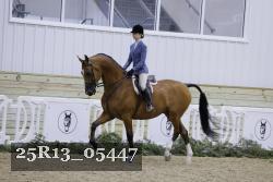 25R13_05447 thumbnail