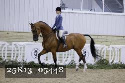 25R13_05448 thumbnail