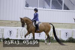 25R13_05456 thumbnail