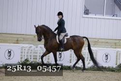 25R13_05457 thumbnail